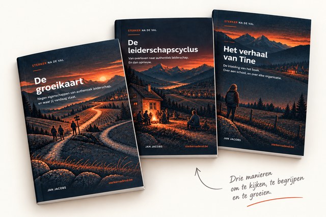 De drie pdf&rsquo;s naast elkaar: de groeikaart, de leiderschapscyclus en het verhaal van Tine. Ernaast staat met de hand geschreven: drie manieren om te kijken, te begrijpen en te groeien.