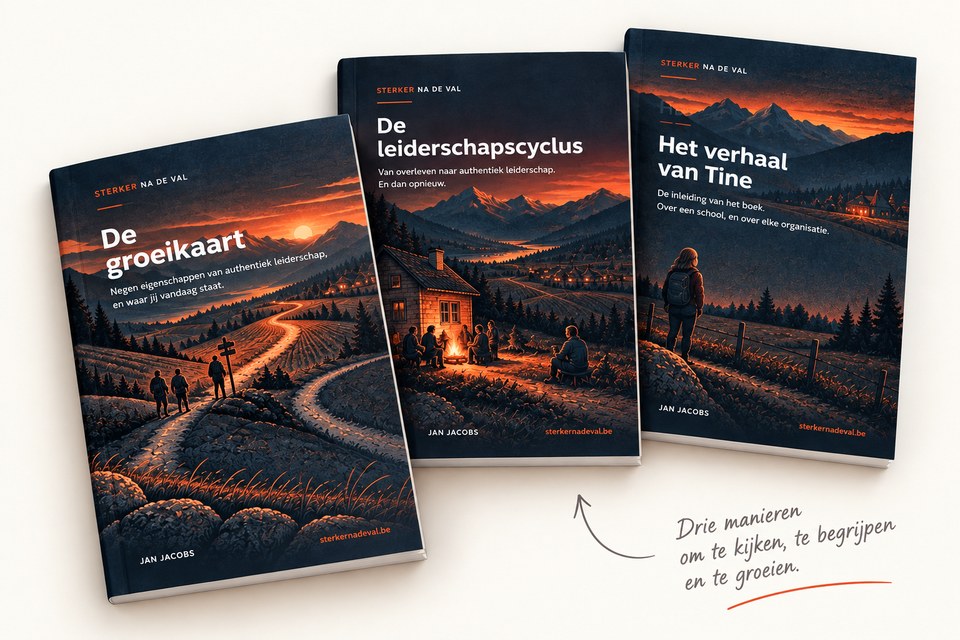 De covers van de groeikaart, de leiderschapscyclus en het verhaal van Tine naast elkaar, met in handschrift: drie manieren om te kijken, te begrijpen en te groeien